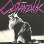 Catwalk . Why Can't I Do It Right