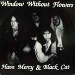 Window Without Flowers